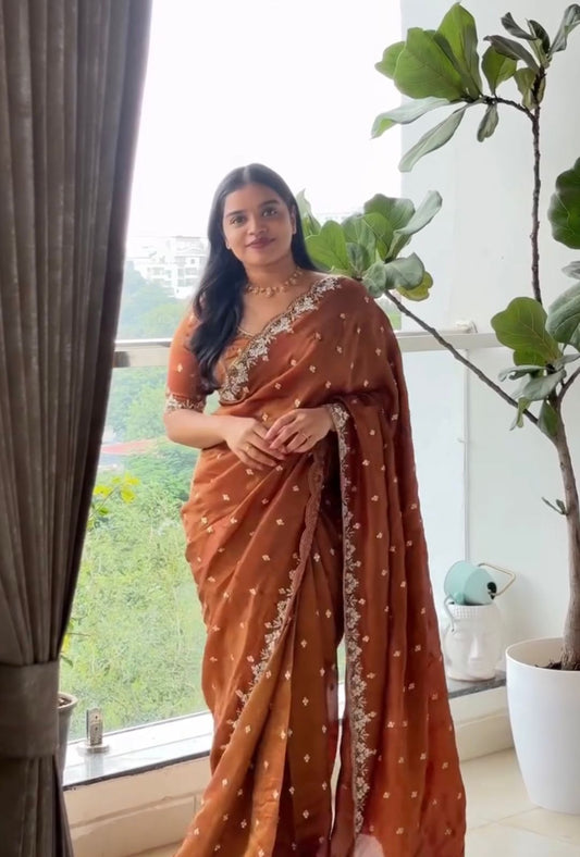 pita tissue Silk Fabric Along With & C - Pallu Sequence & Work In Saree* Border Along With Cutwork & Designer Worked Blouse